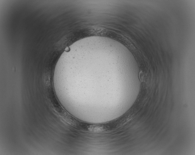 X0000073850602200609071609