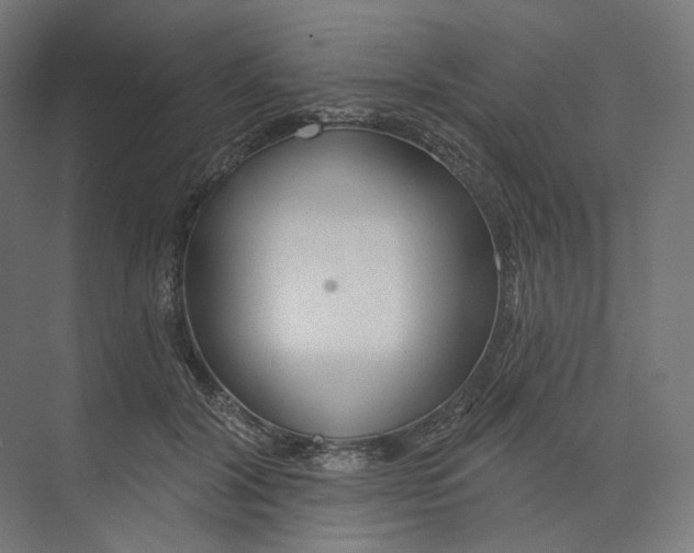 X0000073850604200609071609