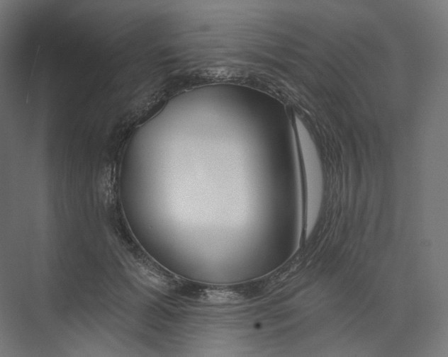 X0000073850605200609071609