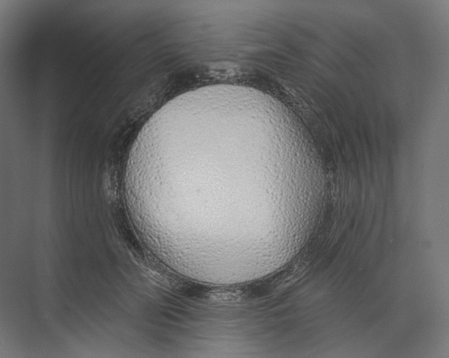 X0000073850606200609071609