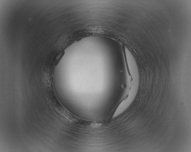 X0000073850609200609071609