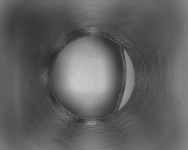 X0000073850611200609071609