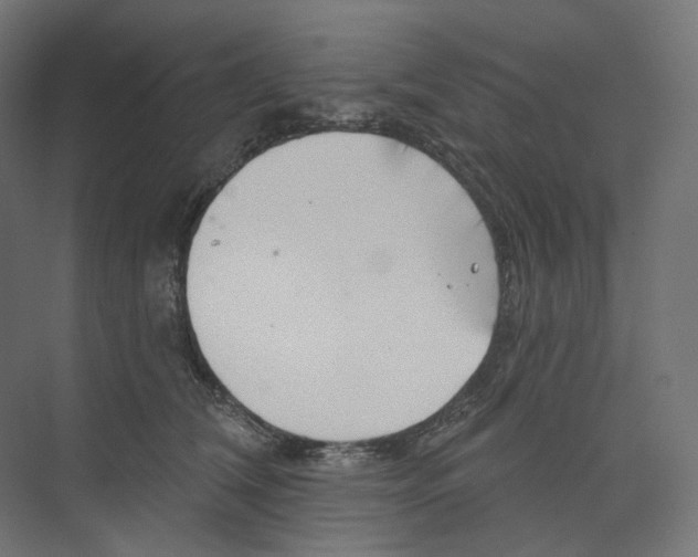 X0000073850612200609071609