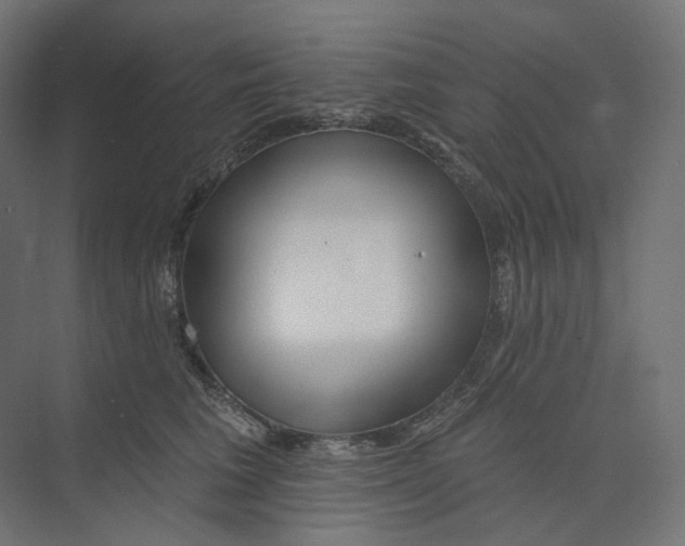 X0000073850613200609071609