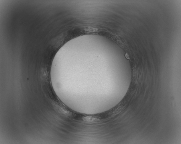 X0000073850614200609071609