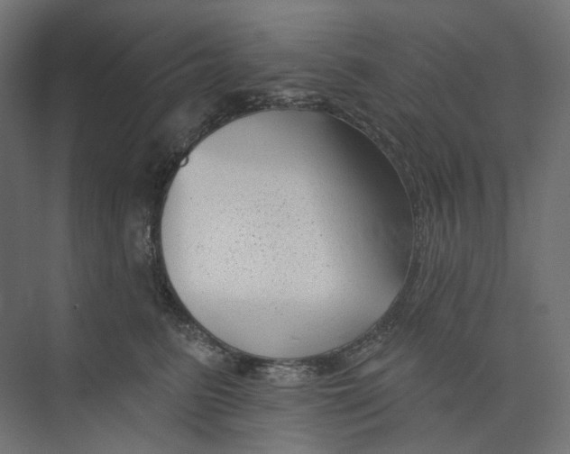 X0000073850615200609071609