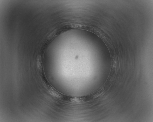 X0000073850616200609071609