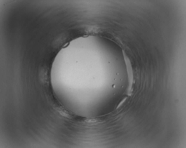 X0000073850619200609071609