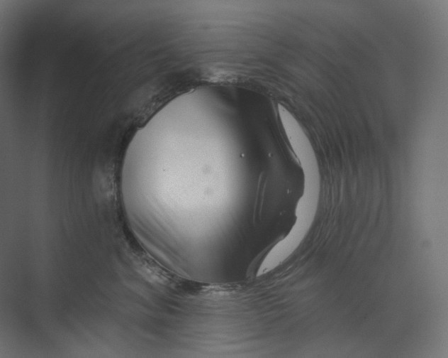 X0000073850620200609071609