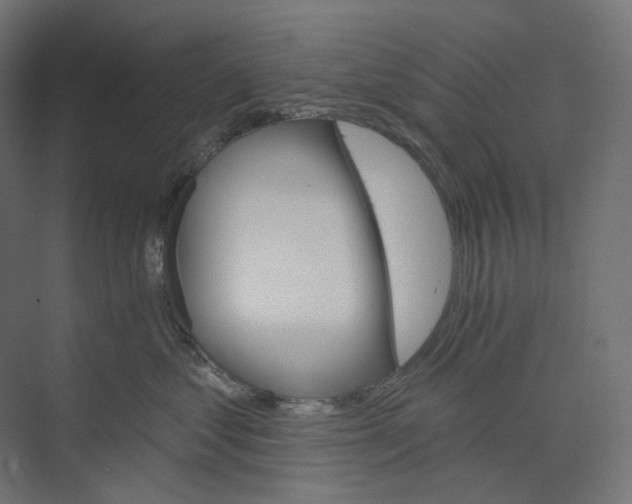 X0000073850621200609071609