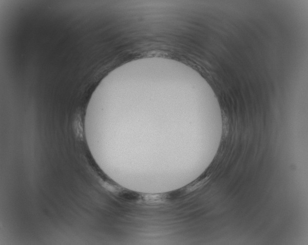 X0000073850622200609071609