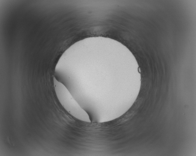 X0000073850624200609071608