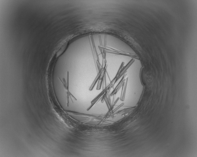 X0000073850626200609071608