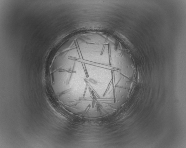 X0000073850627200609071608