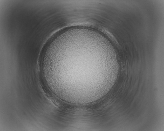 X0000073850628200609071608