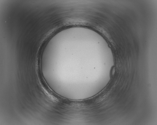 X0000073850629200609071608