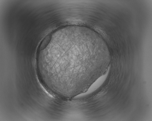 X0000073850630200609071608