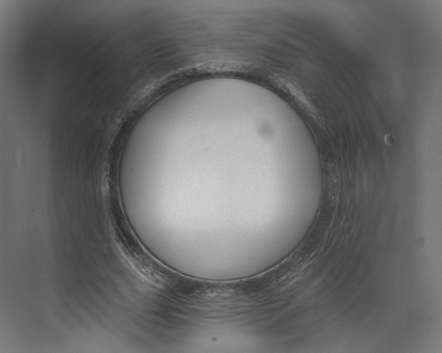 X0000073850631200609071608