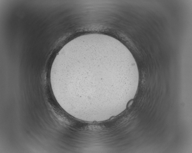 X0000073850636200609071608