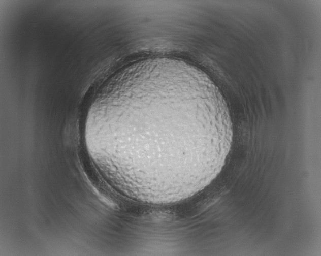 X0000073850638200609071608