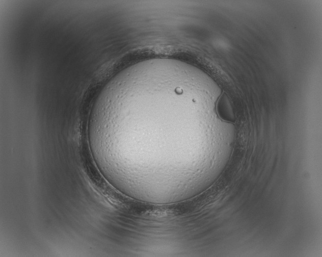 X0000073850639200609071608