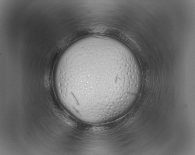 X0000073850641200609071608