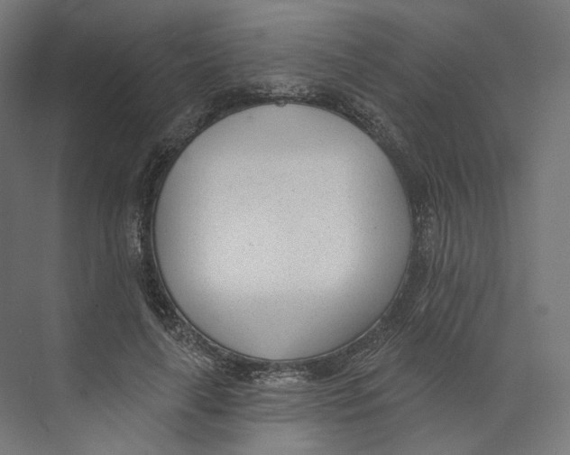 X0000073850643200609071608