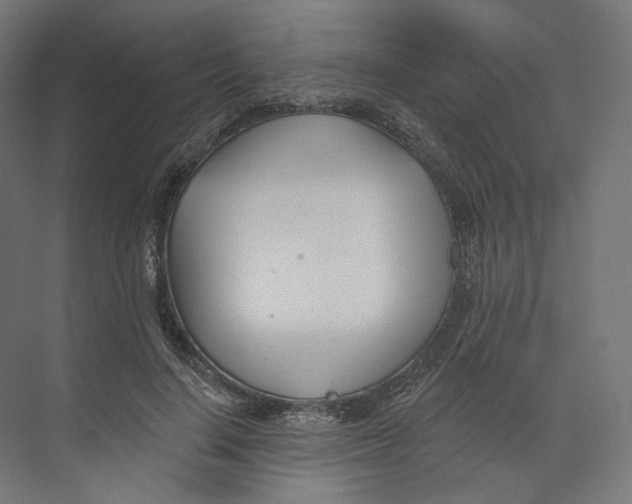 X0000073850644200609071608