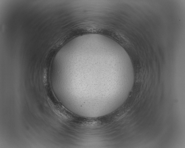 X0000073850646200609071608