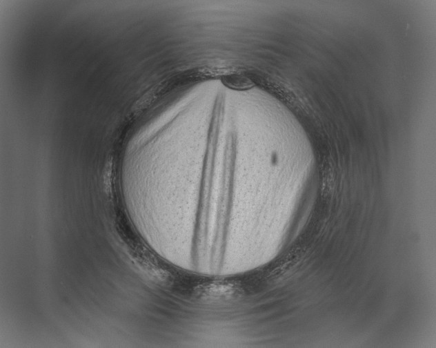 X0000073850647200609071608