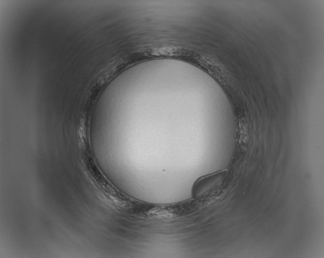 X0000073850648200609071608