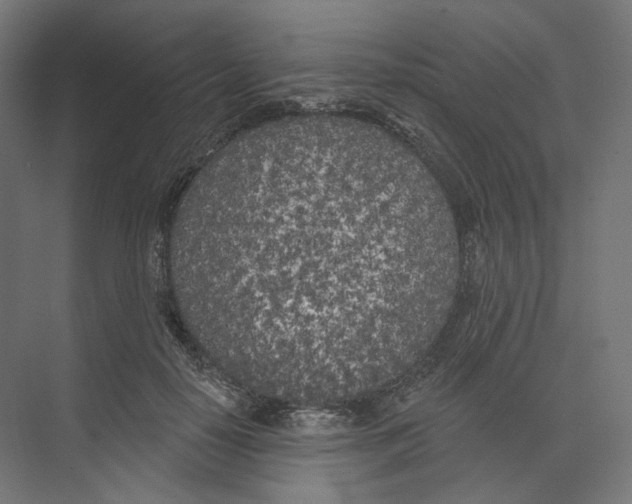 X0000073850650200609071608