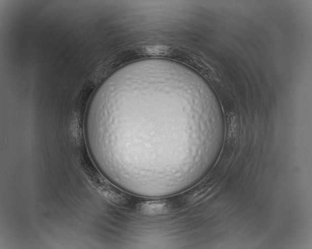 X0000073850651200609071608