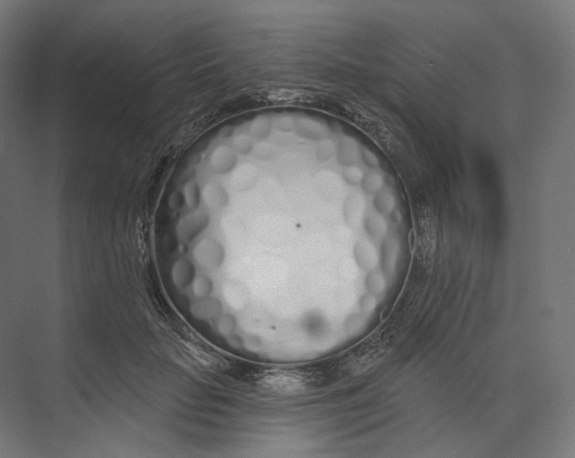 X0000073850653200609071608