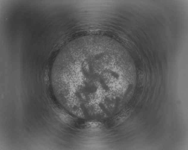 X0000073850654200609071608