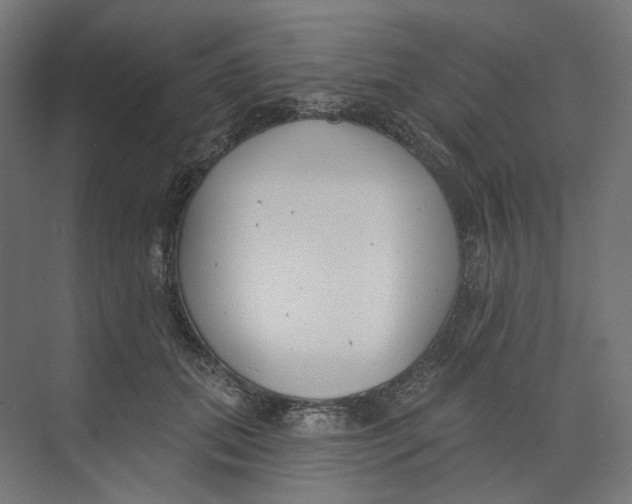 X0000073850655200609071608