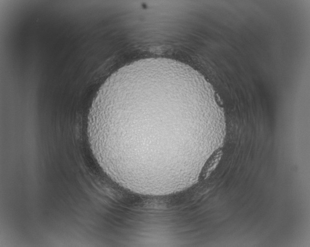 X0000073850656200609071608