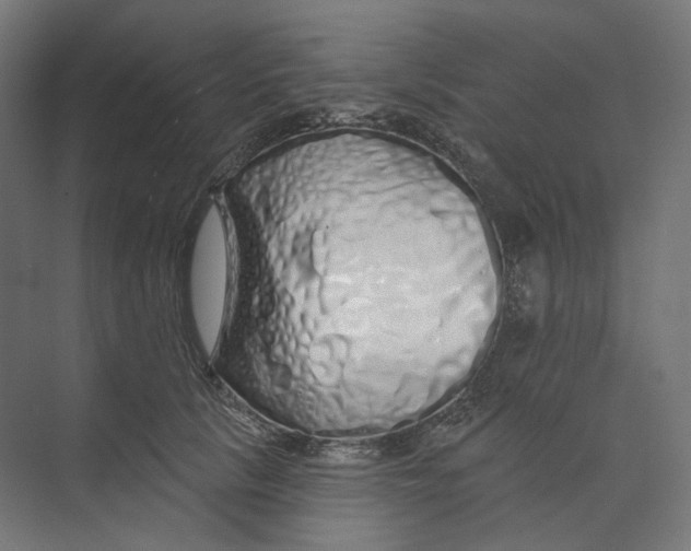 X0000073850657200609071608