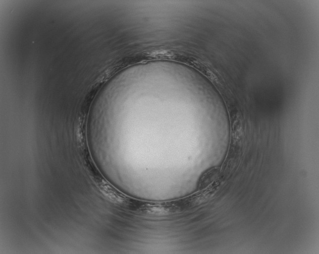 X0000073850658200609071608