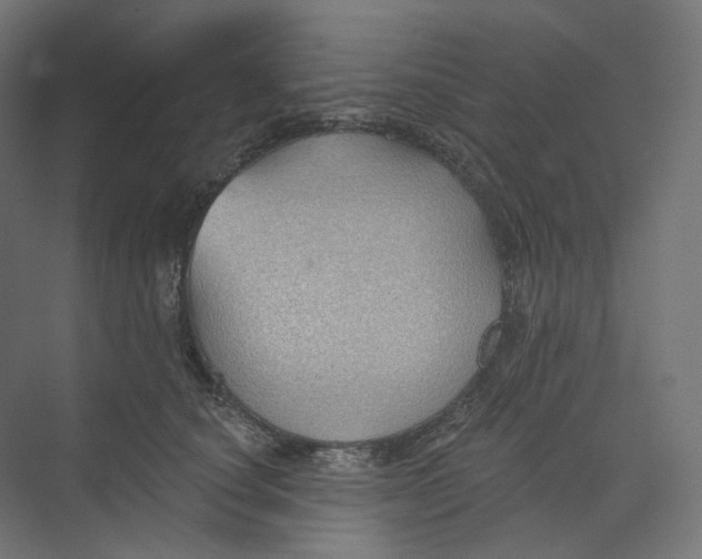 X0000073850660200609071608