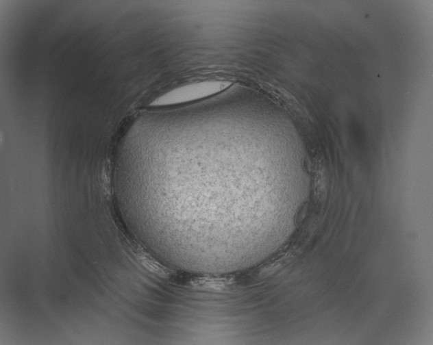 X0000073850661200609071608