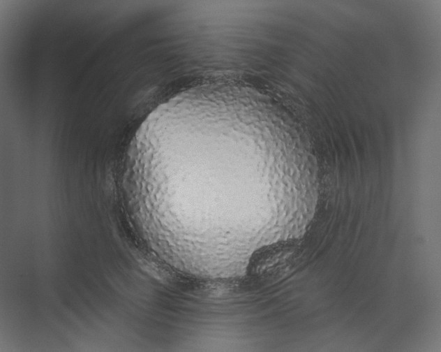 X0000073850662200609071608