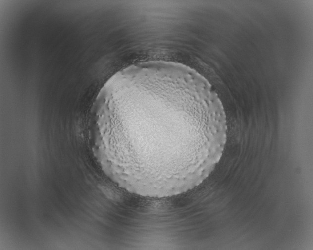 X0000073850663200609071608