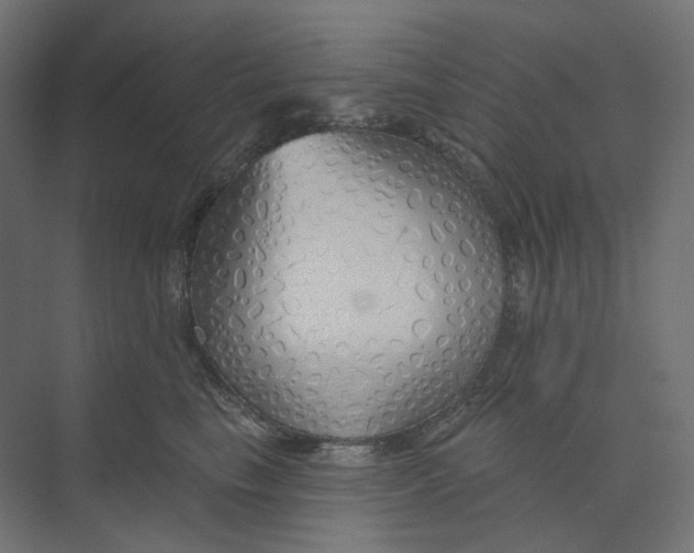 X0000073850665200609071608