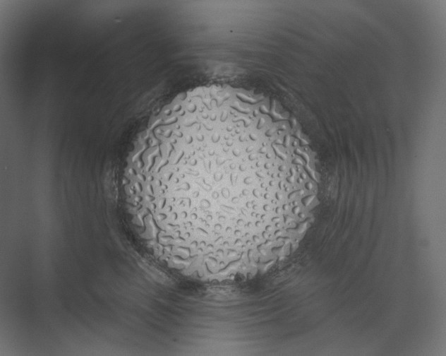 X0000073850666200609071608