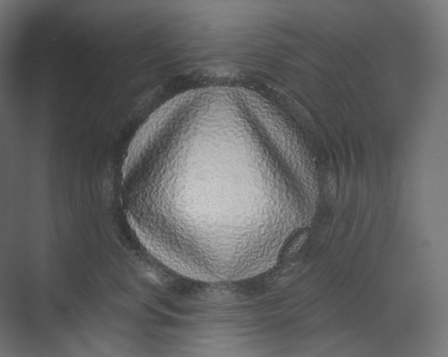 X0000073850668200609071608