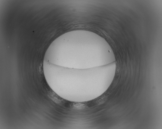 X0000073850669200609071608