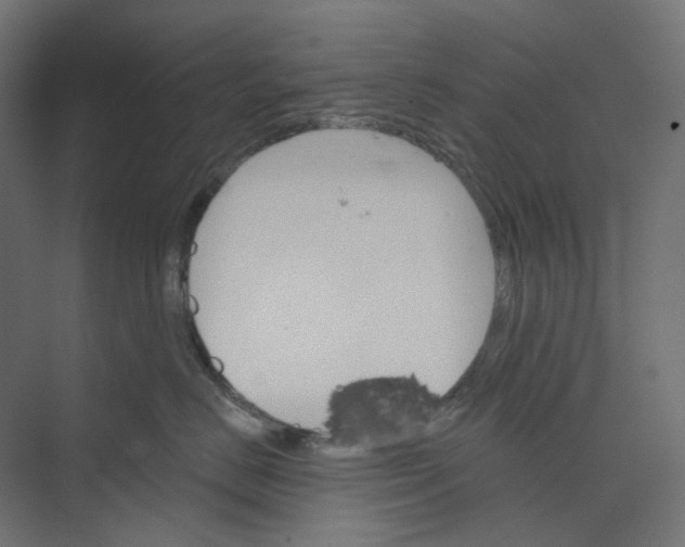 X0000073850670200609071608