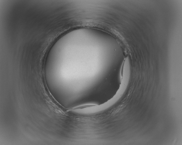 X0000073850673200609071608