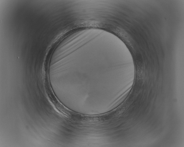 X0000073850674200609071608